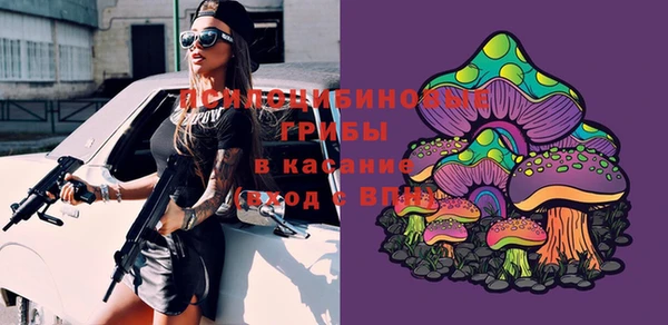 амф Магас