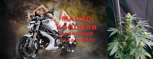 амф Магас